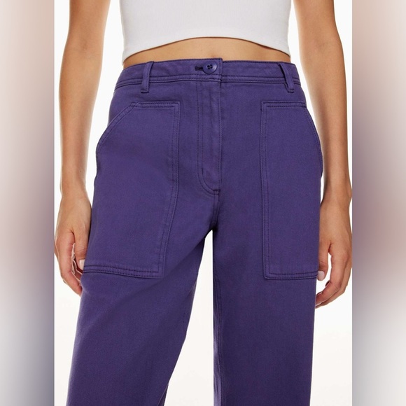 Aritzia Wilfred Free Modern Utility Pant Purple Cargo Relaxed Fit Size 0 - Picture 8 of 11